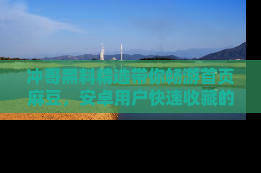 冲哥黑料精选带你畅游首页麻豆，安卓用户快速收藏的秘密武器！