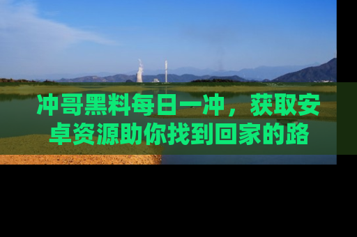 冲哥黑料每日一冲，获取安卓资源助你找到回家的路