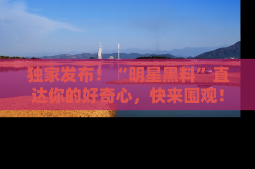 独家发布！“明星黑料”直达你的好奇心，快来围观！