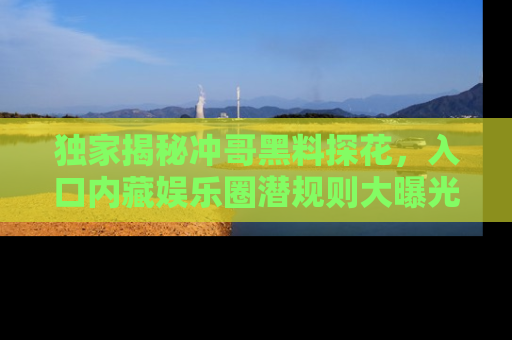 独家揭秘冲哥黑料探花，入口内藏娱乐圈潜规则大曝光