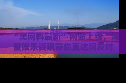 “黑网料最新”网站上线,海量娱乐资讯带你直达网友讨论的中心!