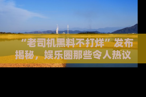 “老司机黑料不打烊”发布揭秘,娱乐圈那些令人热议的黑暗秘密!