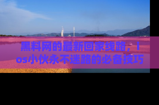 黑料网的最新回家线路，ios小伙永不迷路的必备技巧！