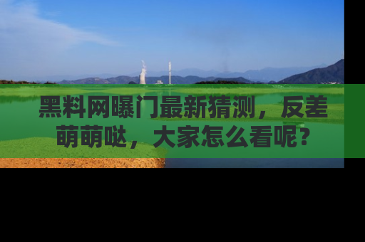 黑料网曝门最新猜测，反差萌萌哒，大家怎么看呢？