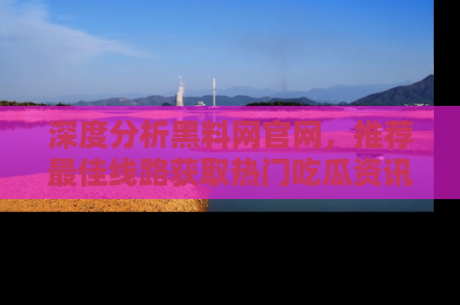 深度分析黑料网官网，推荐最佳线路获取热门吃瓜资讯