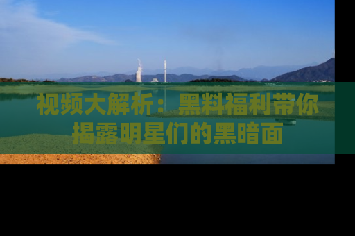 视频大解析：黑料福利带你揭露明星们的黑暗面