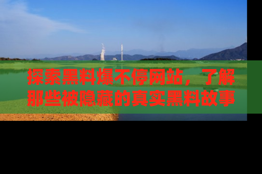 探索黑料爆不停网站，了解那些被隐藏的真实黑料故事