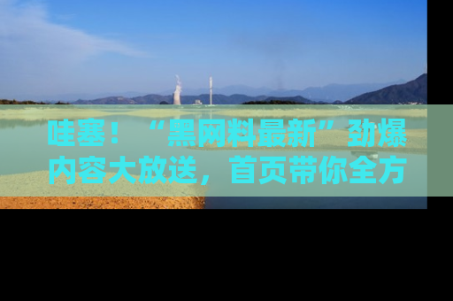 哇塞！“黑网料最新”劲爆内容大放送，首页带你全方位了解哦，小可爱们