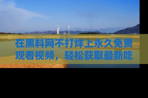在黑料网不打烊上永久免费观看视频，轻松获取最新吃瓜资讯！