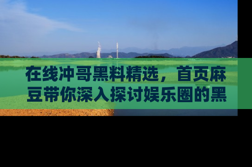 在线冲哥黑料精选，首页麻豆带你深入探讨娱乐圈的黑暗面